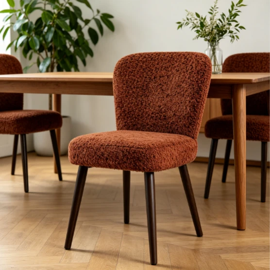 Retro Red Dining Chair With Heat Transfer Round Frame best